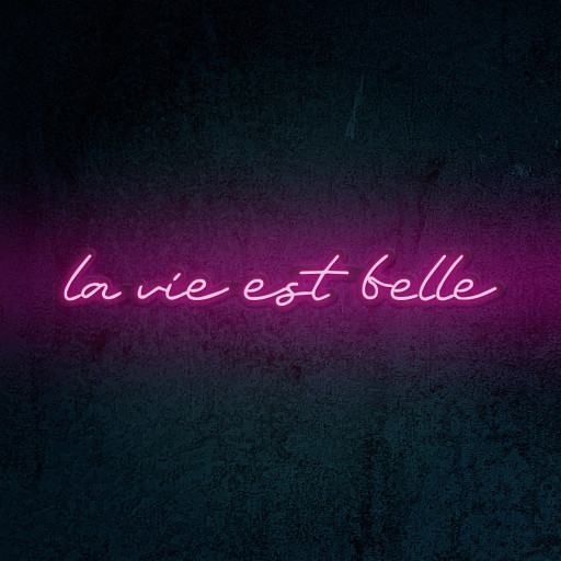 LED Neon Flex | \"La Vie Est Belle\"