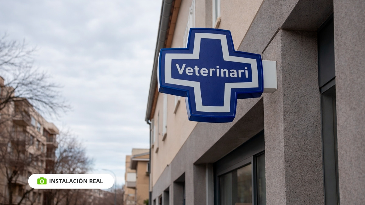 cruz para veterinarias