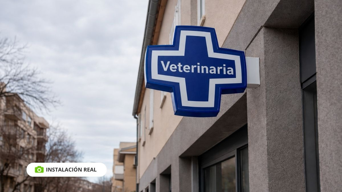 cruz para veterinarias