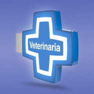 Banderola luminosa Cruz para Veterinarias